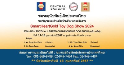 งาน SmartHeartGold Toy Dog Show 2024 [Archive] งานแฟร์สัตว์เลี้ยง กิจกรรมสัตว์เลี้ยง ในไทยที่จัดไปปีที่ผ่านมา