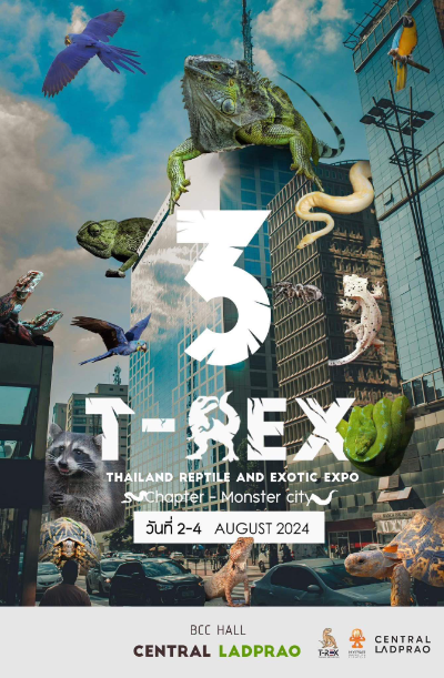T-REX Thailand Reptile Expo ครั้งที่ 3 (2-4 สิงหาคม 2024) [Archive] งานแฟร์สัตว์เลี้ยง กิจกรรมสัตว์เลี้ยง ในไทยที่จัดไปปีที่ผ่านมา