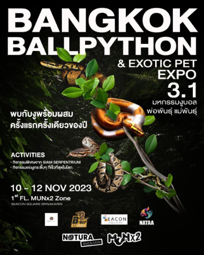 Bangkok Ballpython & Exotic Pet Expo 3.1 มหกรรมงูบอลพ่อพันธุ์ แม่พันธุ์ 10-12 พฤศจิกายน 2566 [Archive] งานแฟร์สัตว์เลี้ยง กิจกรรมสัตว์เลี้ยง ในไทยที่จัดไปปีที่ผ่านมา