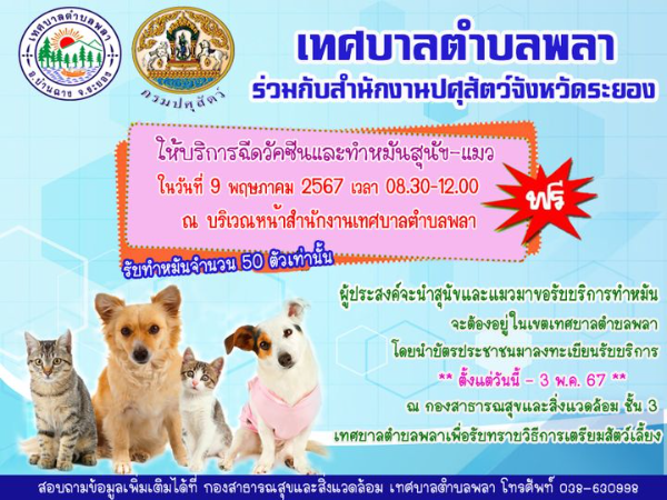 9 พฤษภาคม 2567 เทศบาลตำบลพลา จ.ระยอง บริการฉีดวัคซีนและทำหมันสุนัข-แมว (ฟรี) จำนวน 50  ตัว ทำหมันหมาแมว ฟรี ทั่วไทย ปี 2567 มีที่ไหนบ้าง