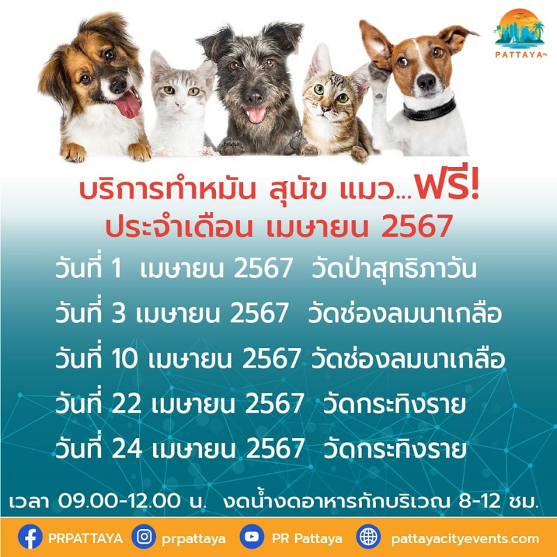 เมืองพัทยา หน่วยบริการทำหมันสุนัขแมว เดือนเมษายน-พฤษภาคม 2567 ทำหมันหมาแมว ฟรี ทั่วไทย ปี 2567 มีที่ไหนบ้าง