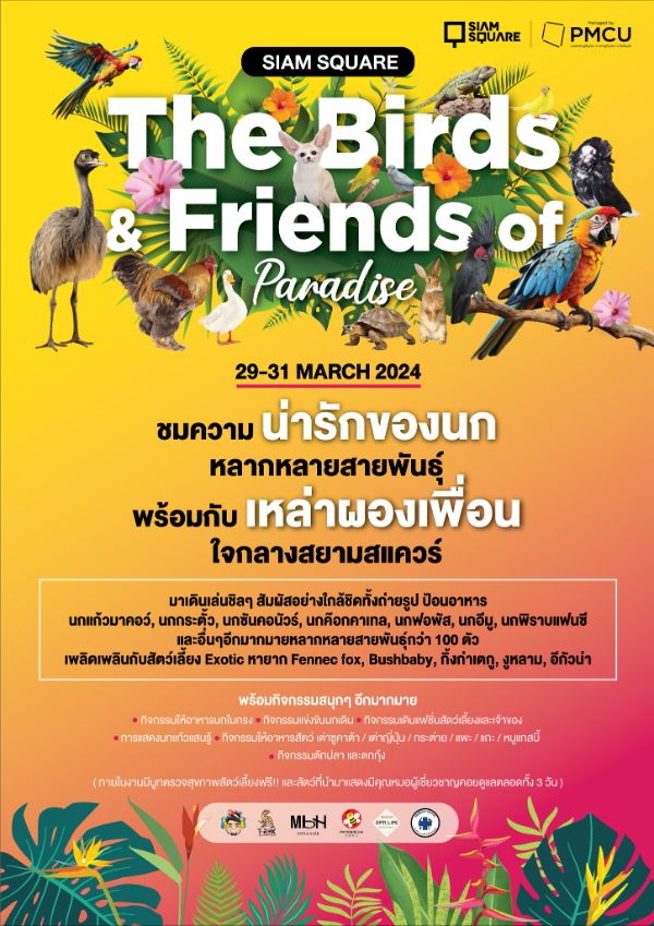 The Birds & Friends of Paradise สยามสแควร์ 29 - 31 มีนาคม 2567 กิจกรรม งานแฟร์สัตว์เลี้ยง ปี 2567 ในประเทศไทย