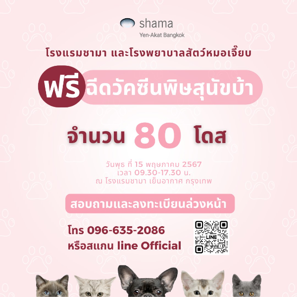 15 พฤษภาคม 2567  โรงแรม Shama Yen-Akat Bangkok และโรงพยาบาลสัตว์หมอเจี๊ยบ เปิดให้บริการฉีดวัคซีนพิษสุนัขบ้าฟรี  ประกาศบริการ : ฉีดวัคซีนหมาแมวป้องกันพิษสุนัขบ้า ฟรี 2567 ทั่วประเทศ