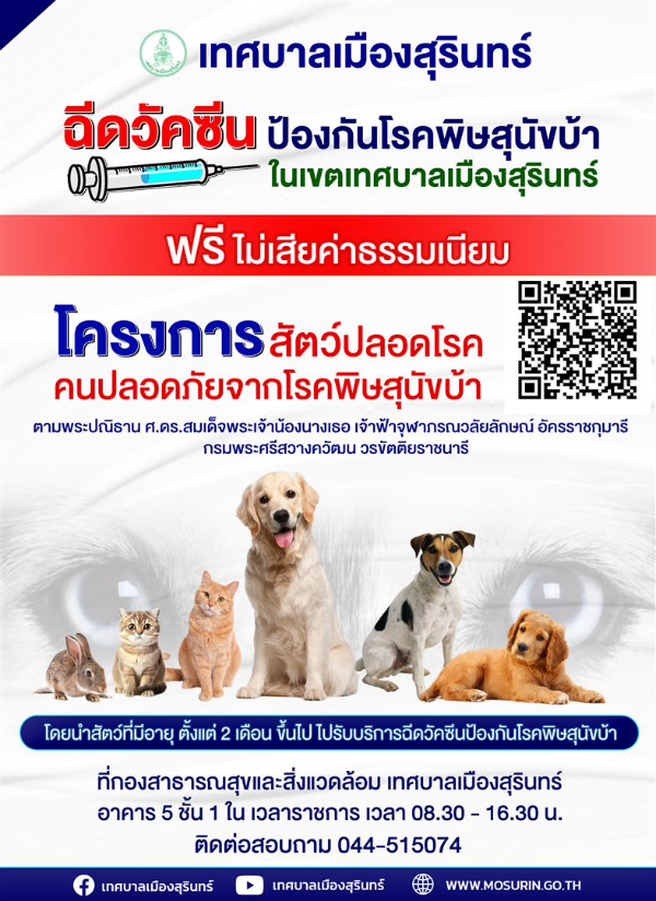 เทศบาลเมืองสุรินทร์ ฉีดวัคซีนโรคพิษสุนัขบ้า ฟรี ประกาศบริการ : ฉีดวัคซีนหมาแมวป้องกันพิษสุนัขบ้า ฟรี 2567 ทั่วประเทศ