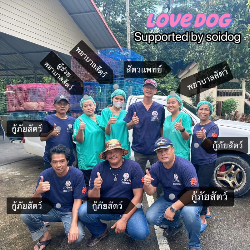 ทีมทำหมัน LOVE DOG สนับสนุนโดย SOIDOG ทำหมันสุนัขใน จ.ชุมพร ฟรี โดย Love Dog ร่วมกับ SoiDog