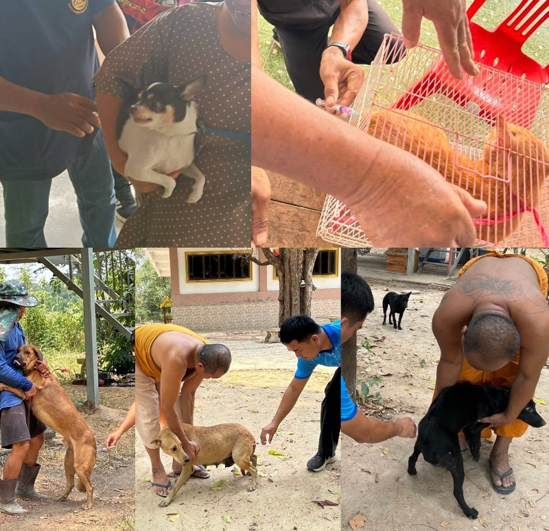 ปศุสัตว์อำเภอเมืองอำนาจเจริญ เร่งฉีดวัคซีนป้องกันโรคพิษสุนัขบ้า 26 จังหวัดในไทย รายงานพบโรคพิษสุนัขบ้า (ข้อมูล ณ สิ้นเมษายน 2567)