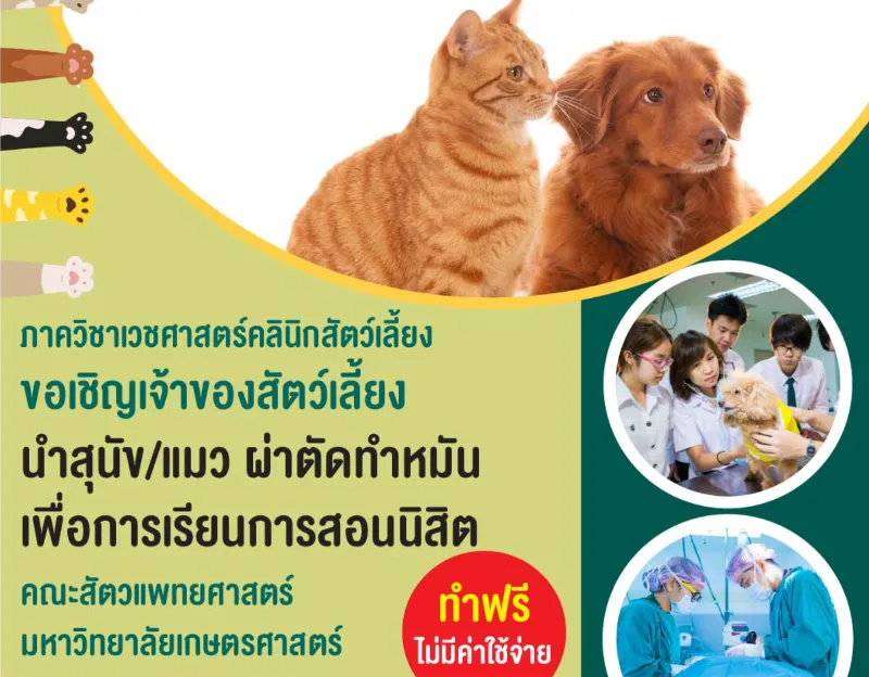 10,17, 24 กันยายน 2567 สัตวแพทย์ ม.เกษตร ทำหมันหมาแมว ฟรี เพื่อการเรียนการสอนนิสิต ทำหมันหมาแมว ฟรี ทั่วไทย ปี 2567 มีที่ไหนบ้าง