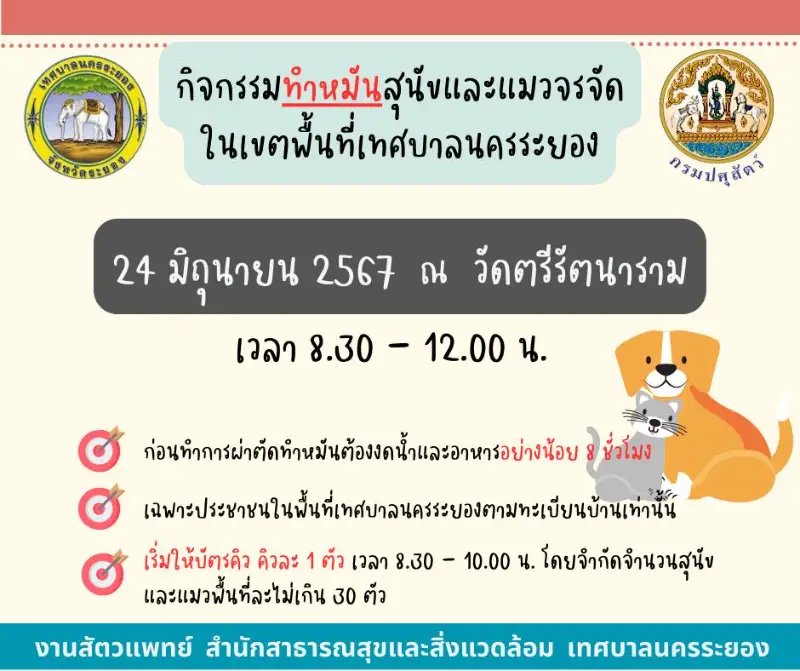 กิจกรรมผ่าตัดทำหมัน สุนัขและแมว ฟรี ปี 2567 