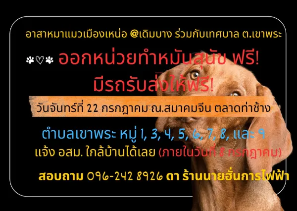 22 กรกฎาคม 2567 ทีมอาสาหมาแมวเมืองเหน่อ @เดิมบาง ทำหมันหมาฟรี ทำหมันหมาแมว ฟรี ทั่วไทย ปี 2567 มีที่ไหนบ้าง