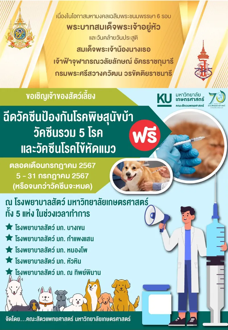 5-31 กรกฎาคม 2567 รพ.สัตว์ ม.เกษตร 5 แห่ง ฉีดวัคซีน ฟรี  ทำหมันหมาแมว ฟรี ทั่วไทย ปี 2567 มีที่ไหนบ้าง