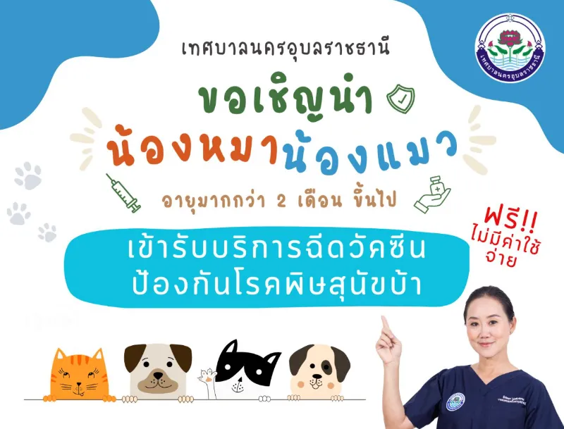 เทศบาลอุบลฯ ทำหมัน ฉีดวัคซีน ฟรี 2567 ทำหมันหมาแมว ฟรี ทั่วไทย ปี 2567 มีที่ไหนบ้าง