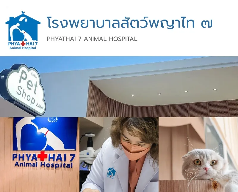 โรงพยาบาลสัตว์พญาไท 7 ศูนย์สุขภาพสัตว์ครบวงจร ฉุกเฉิน 24 ชั่วโมง 