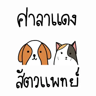 คลินิกศาลาแดงสัตวแพทย์ ถ.บรรทัดทอง 