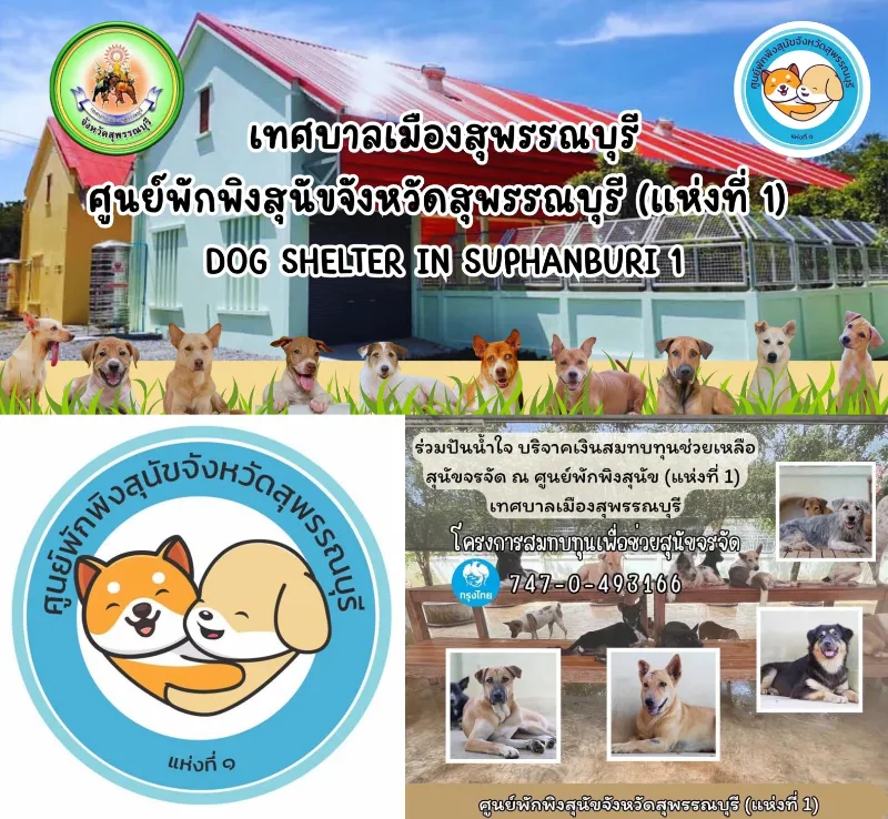 ศูนย์พักพิงสุนัขจังหวัดสุพรรณบุรี แห่งที่ 1 (เทศบาลเมืองจังหวัดสุพรรณบุรี)  