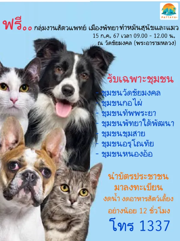 15 กรกฎาคม 2567 เมืองพัทยา เปิดบริการผ่าตัดทำหมันสุนัขและแมว ทำหมันหมาแมว ฟรี ทั่วไทย ปี 2567 มีที่ไหนบ้าง