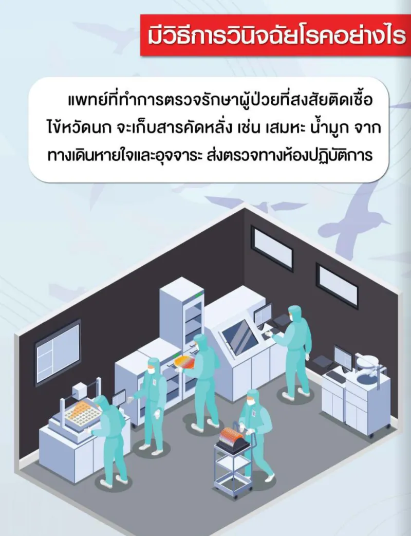 มีวิธีการวินิจฉัยโรคอย่างไร สื่อความรู้ โรคไข้หวัดนก ฉบับอสม. เพื่อเตรียมพร้อมรับมือ ดูแลประชาชน