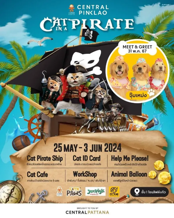 Cat Pirate 2024 วันที่ 25 พ.ค. - 3 มิ.ย. 67 