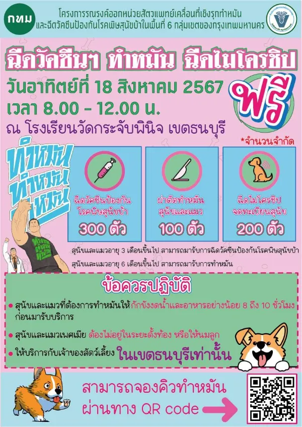 18 สิงหาคม 2567 โรงเรียนวัดกระจับพินิจ เขตธนบุรี ทำหมันหมาแมว ฟรี ทั่วไทย ปี 2567 มีที่ไหนบ้าง