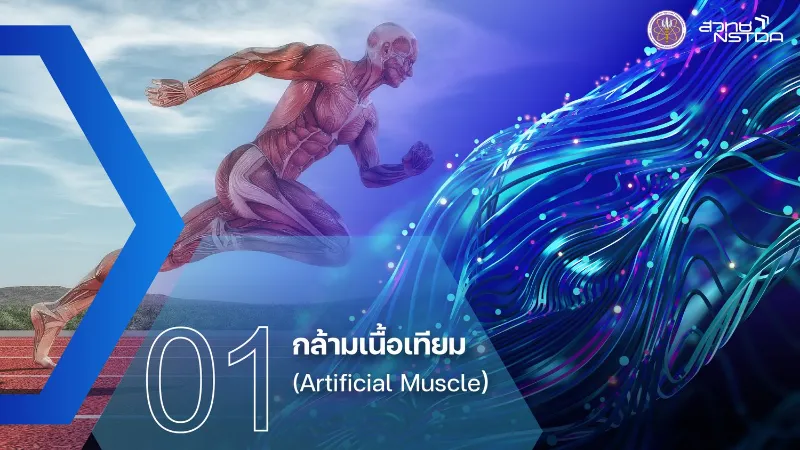 1.กล้ามเนื้อเทียม (Artificial Muscle) สวทช.เผย 10 เทคโนโลยีที่น่าจับตามอง 2567