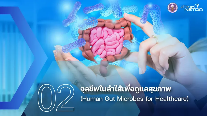 2. จุลชีพในลำไส้เพื่อดูแลสุขภาพ (Human Gut Microbes for Healthcare)  