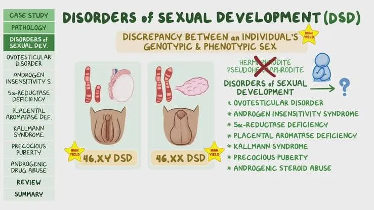 46 XY DSD .. เมื่อโครโมโซมเป็นผู้ชาย แต่ร่างกายพัฒนาเป็นผู้หญิง - Jessada Denduangboripant ข้อถกเถียงระดับโลก กรณีนักมวยแอลจีเรีย vs นักมวยอิตาลี ในโอลิมปิกปารีส 2024