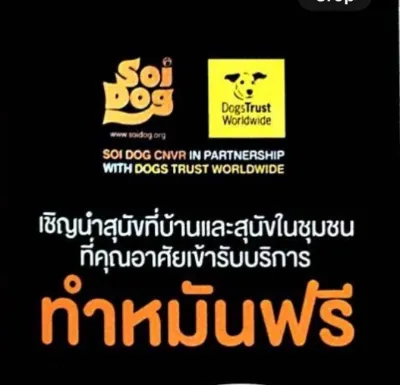 5-16 สิงหาคม 2567 เขตจตุจักร บริการทำหมันสุนัข ฟรี 