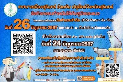 26 มิถุนายน 2567 เทศบาลเมืองสุรินทร์ ทำหมันให้กับสุนัขและแมว 