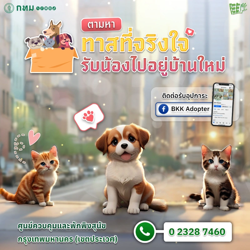 อยากรับน้องหมาน้องแมวไปเลี้ยง เชิญ อยากรับอุปการะดูแลหมาแมว ติดต่อศูนย์ BKK Adopter ของกทม.ได้เลย