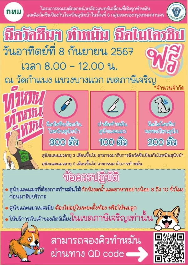 8 กันยายน 2567 ทำหมัน ฉีดวัคซีน ฟรี วัดกำแพง แขวงบางแวก เขตภาษีเจริญ 