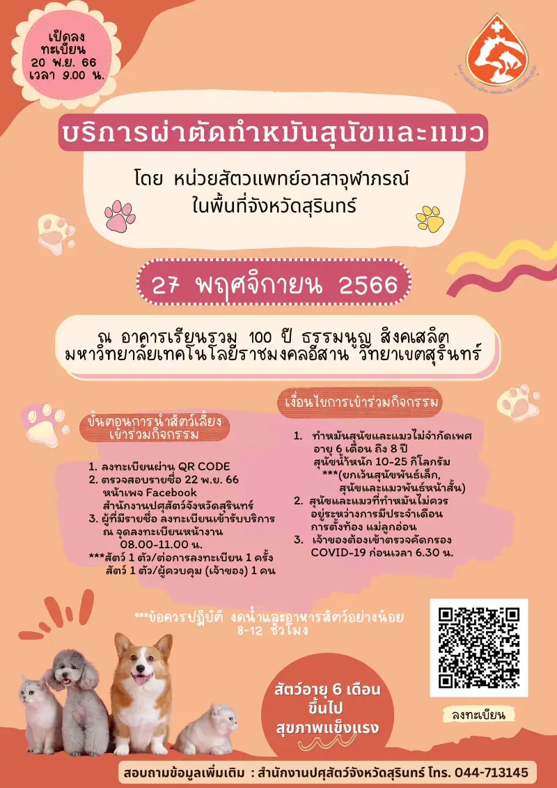 ปศุสัตว์จังหวัดสุรินทร์ ทำหมันหมาแมว ฟรี 27 พฤศจิกายน 2566 