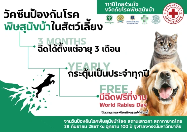 คลินิกภูมิคุ้มกันในสัตว์เลี้ยง สถานเสาวภา ฉีดวัคซีน ฟรี 28 กันยายน 2567 ในกิจกรรมวันป้องกันโรคพิษสุนัขบ้าโลก 2567 ตารางฉีดวัคซีนหมาแมว ฟรี 50 เขต กทม. เดือนกันยายน 2567