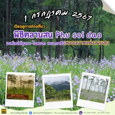 เปิดพิชิตลานสนภูสอยดาว 1 กรกฎาคม 2567 