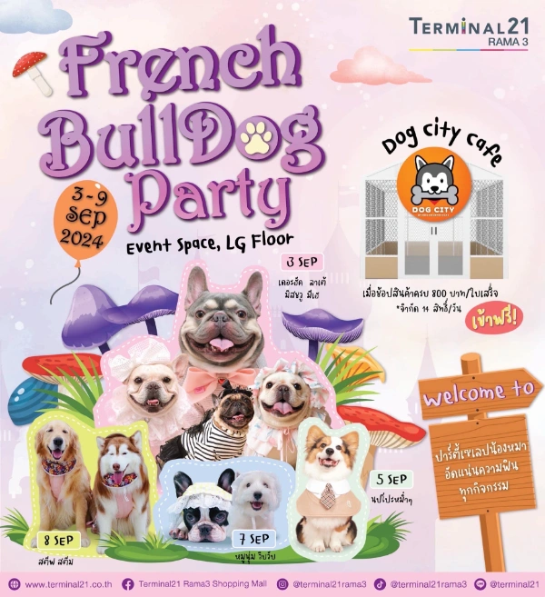 งาน French Bulldog Party 3-9 กันยายน 2567  