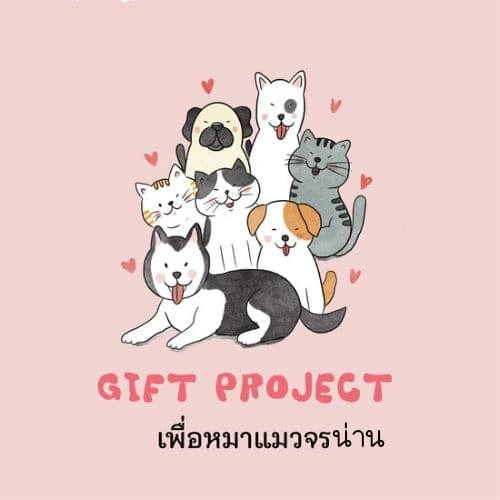 GIFT PROJECT เพื่อหมาแมวจรน่าน 