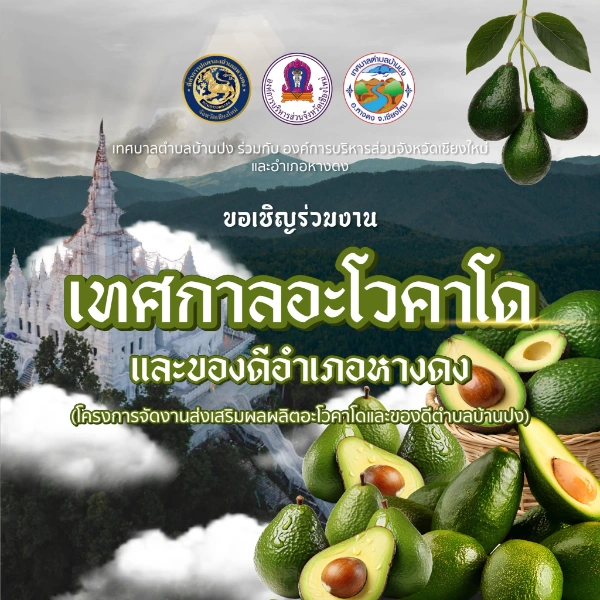 เทศกาลอะโวคาโดและของดีอำเภอหางดง ครั้งที่ 4 วันที่ 12-16 กันยายน 2567 