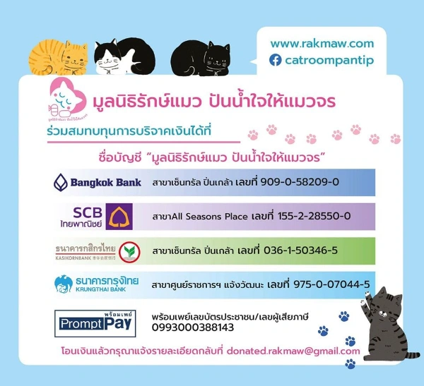 ร่วมสมทบทุน สนับสนุน กิจกรรม มูลนิธิรักษ์แมว ปันน้ำใจให้แมวจร  