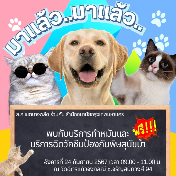 24 กันยายน 2567 ทำหมันฉีดวัคซีน ฟรี วัดฉัตรแก้วจงกลณี ซอยจรัญสนิทวงศ์94 