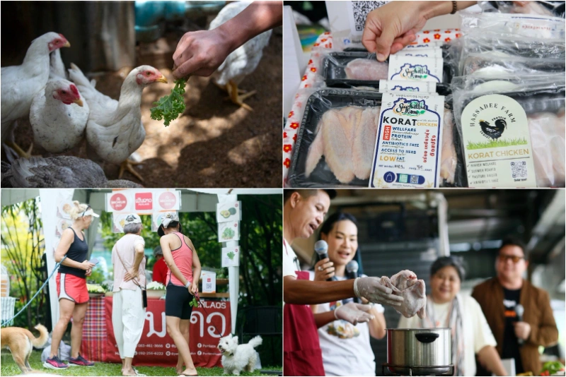  Farm Champion Market: ไก่งามเพราะคน ณ ปฐมออแกนิก คาเฟ่