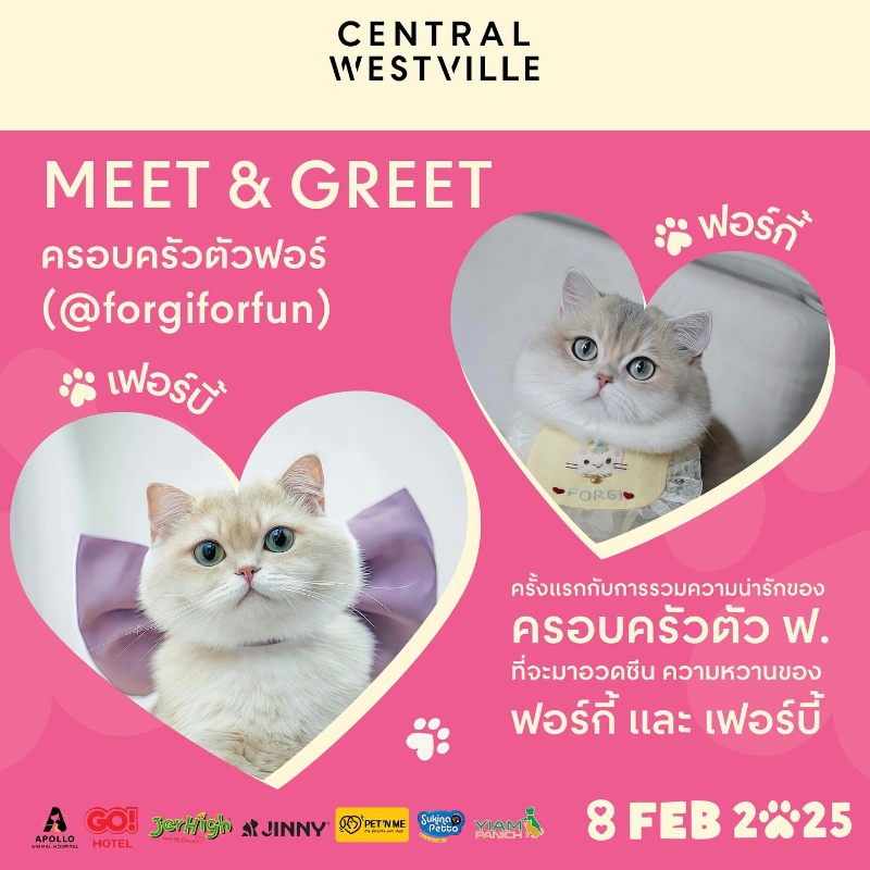 งาน Pet Wedding You are Pawfect วันที่ 8 ก.พ. 2568 