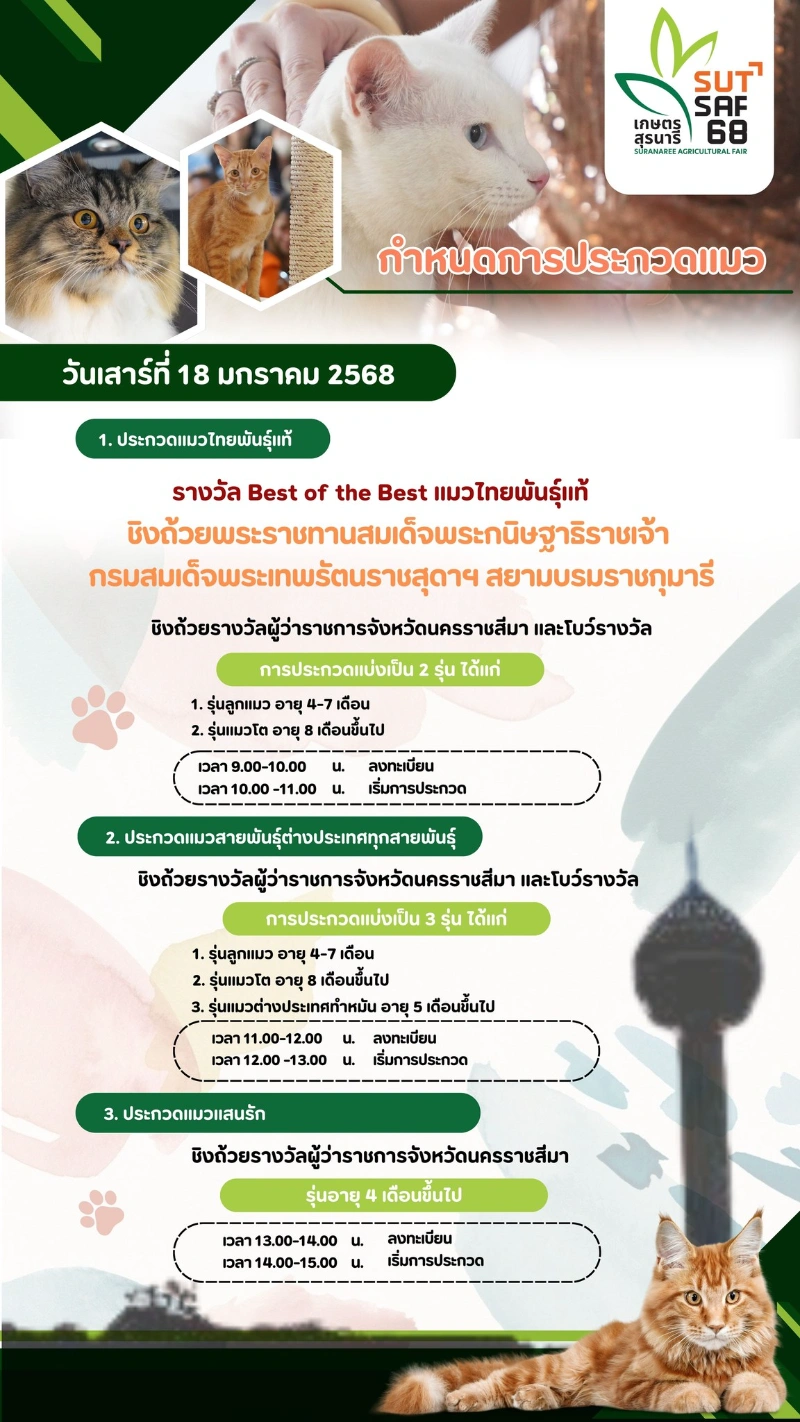 ประกวดแมว Thailand Grand Cat Show 2025 @Korat 