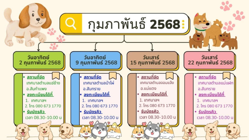 ทำหมันสุนัขฟรีเชียงใหม่ Hand to Paw เดือนกุมภาพันธ์ 2568 