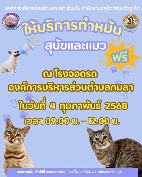 อบต.กมลา ทำหมันสุนัขและแมว ฟรี 4 กุมภาพันธ์ 2568 