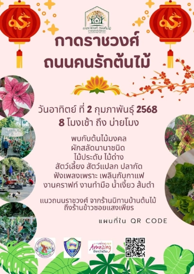 กาดราชวงศ์ ถนนคนรักต้นไม้...แหล่งพบปะของคนรักต้นไม้ วันอาทิตย์ที่ 2 กุมภาพันธ์ 68 