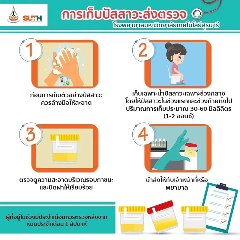 การเก็บปัสสาวะส่งตรวจ โปรแกรมตรวจสุขภาพ รพ.ม.เทคโนโลยีสุรนารี (3 กลุ่ม)