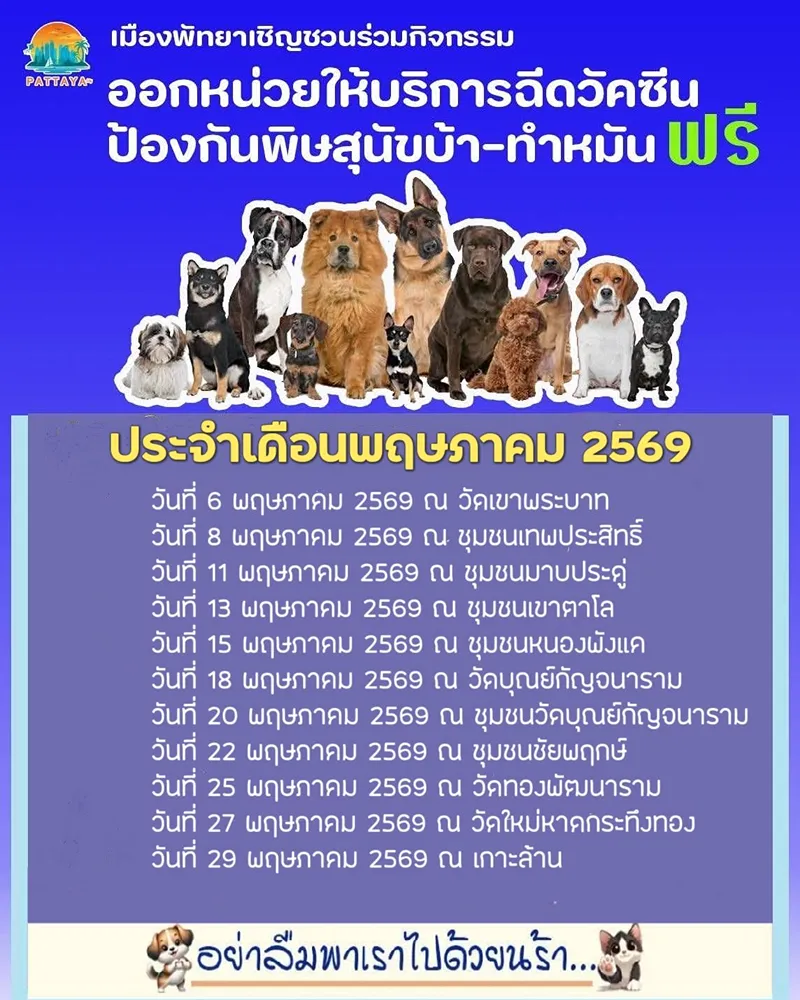 เมืองพัทยา ฉีดวัคซีนทำหมันสุนัขแมว พฤษภาคม 2569 ฟรี เช็คข้อมูล การออกหน่วยทำหมันสุนัขแมวเมืองพัทยา ฟรี ประจำปี 2569