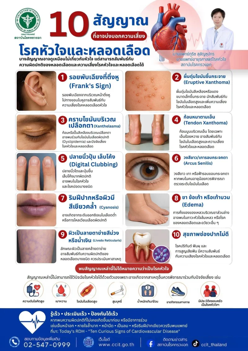 10 สัญญาณเสี่ยง โรคหัวใจและหลอดเลือด สถาบันโรคทรวงอก [Infographic] ส่องสัญญาณอาการ โรคหัวใจ เส้นเลือดหัวใจตีบ