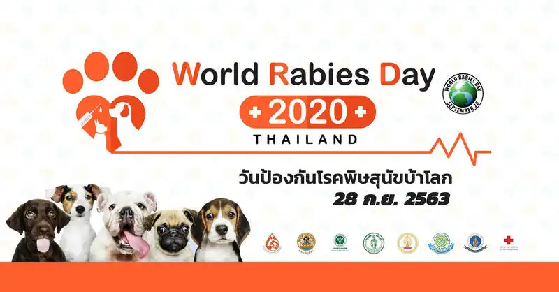 รายชื่อสถานพยาบาลสัตว์ที่ร่วมโครงการ ฉีดวัคซีนป้องกันโรคพิษสุนัขบ้า ฟรี ถึง 30 กันยายน 2563  HealthServ