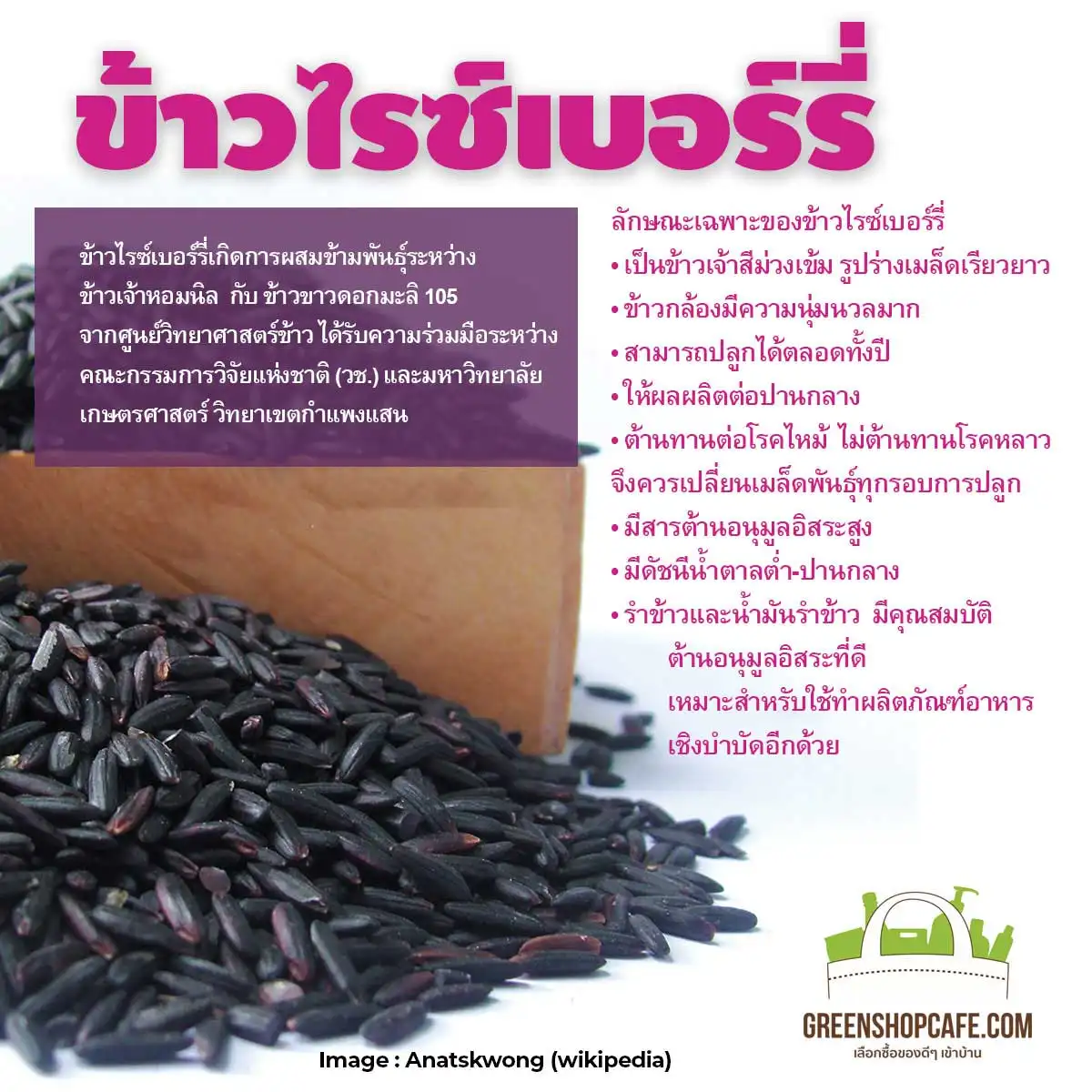 ข้าวไรซ์เบอร์รี่ ธัญโอสถ อีกทางเลือกของชาวนาไทย HealthServ