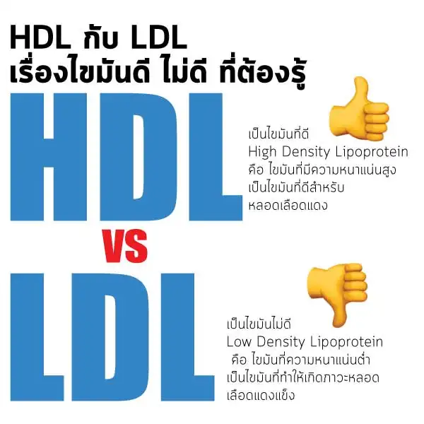 HDL กับ LDL เรื่องไขมันดี ไม่ดี ที่ต้องรู้ HealthServ
