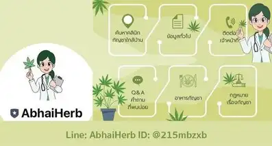 ไลน์แชทบอทกัญชา AbhaiHerb ถาม-ตอบเรื่องกัญชา กัญชง โดยรพ.อภัยภูเบศร HealthServ.net